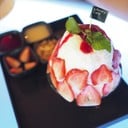 d04f1291598c4aa48f092846b27ccace