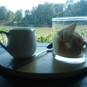 33137a0a1fdf4e06968bab89b31b3b25