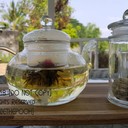 84124c920da84b68b094e1fa7b448391