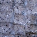 85f1ae710c26476e9503605dae9db6ab