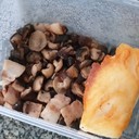 7f6f1ff490274ca0a8c3ca9855601dc0