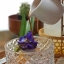 e64dfbab6c6b4022921b7b20b1aa23fe