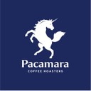 PACAMARA