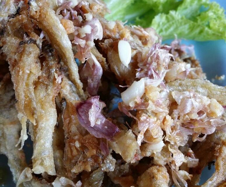 ร้านเคียงทะเล