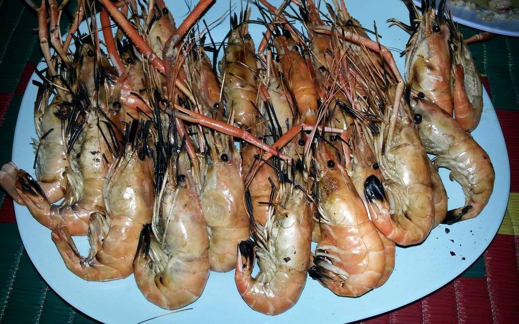 กาฬสินธุ์ กุ้งเผา กาฬสินธุ์ กุ้งเผา