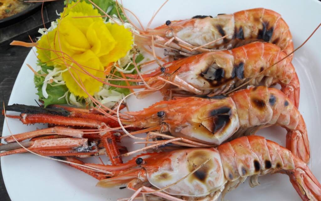 กินลมชมน้ำ บางคล้า