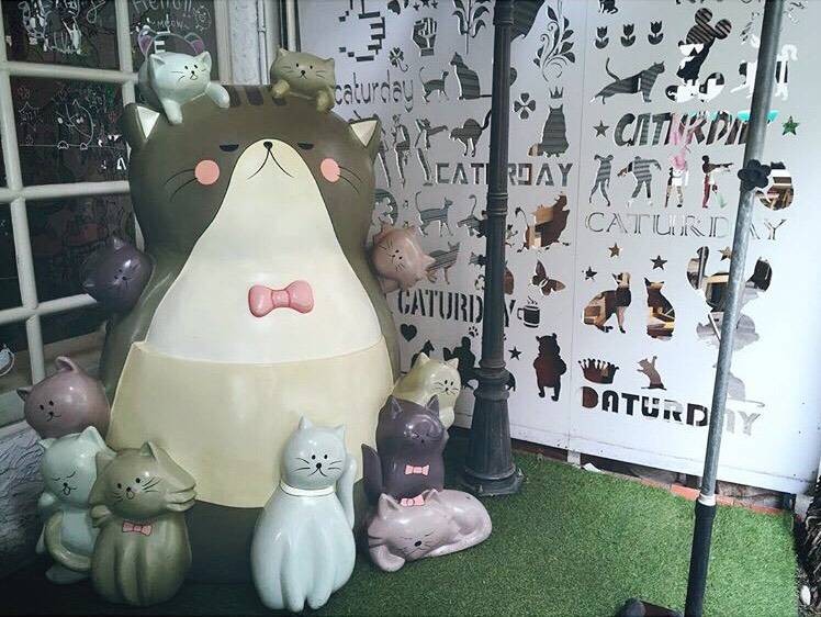 Caturday cat cafe Caturday cat cafe