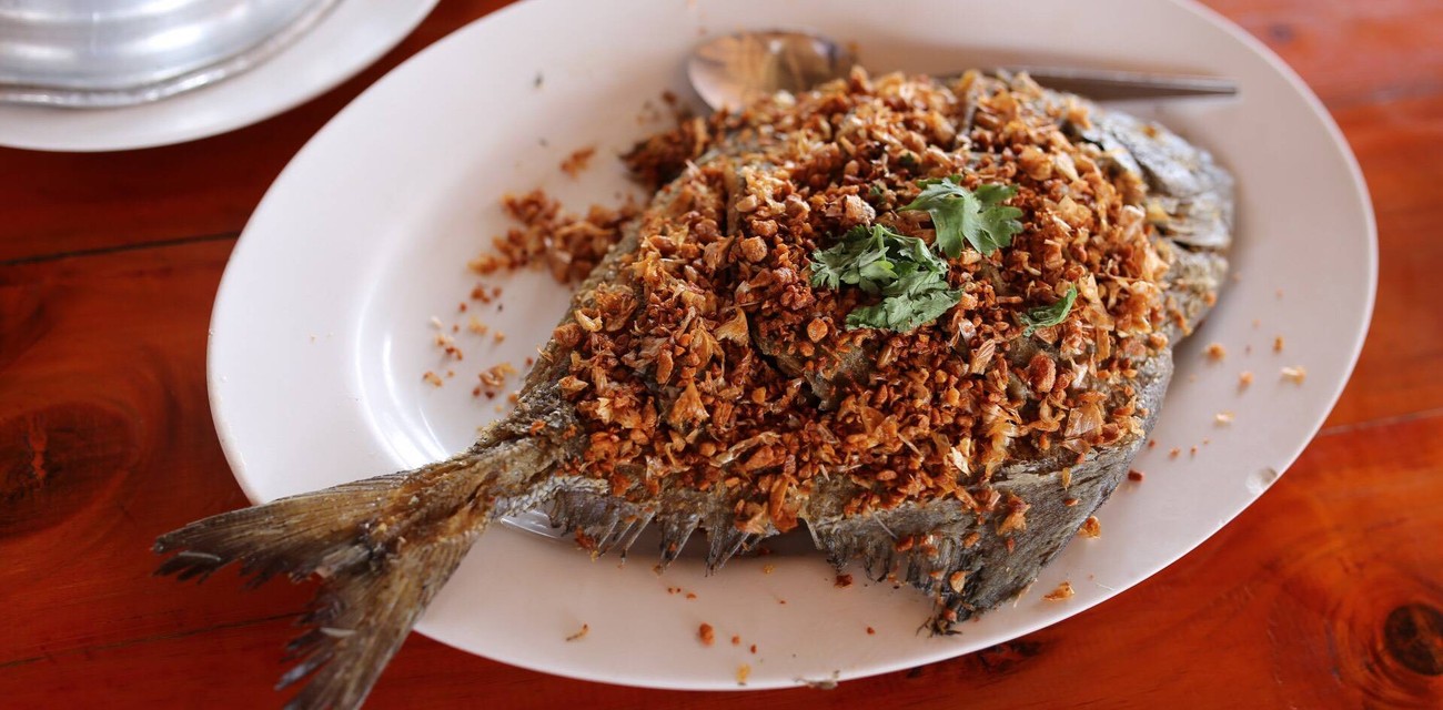 ปลาทูเรสเตอรอง