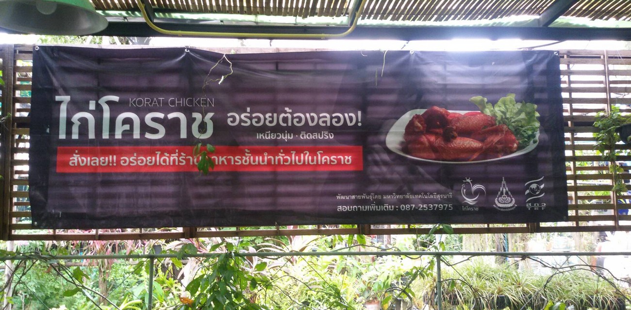 บ้านไก่โคราช บ้านไก่โคราช