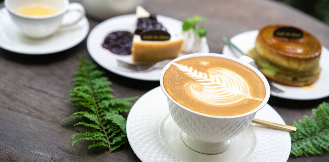 Cafe De Oasis Cafe De Oasis