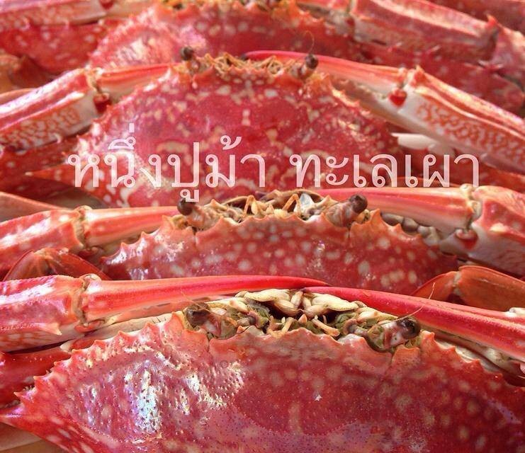 หนึ่งปูม้า - ทะเลเผา สาขา 1 รามคำแหง 24 แยก 2 หนึ่งปูม้า - ทะเลเผา สาขา 1 รามคำแหง 24 แยก 2