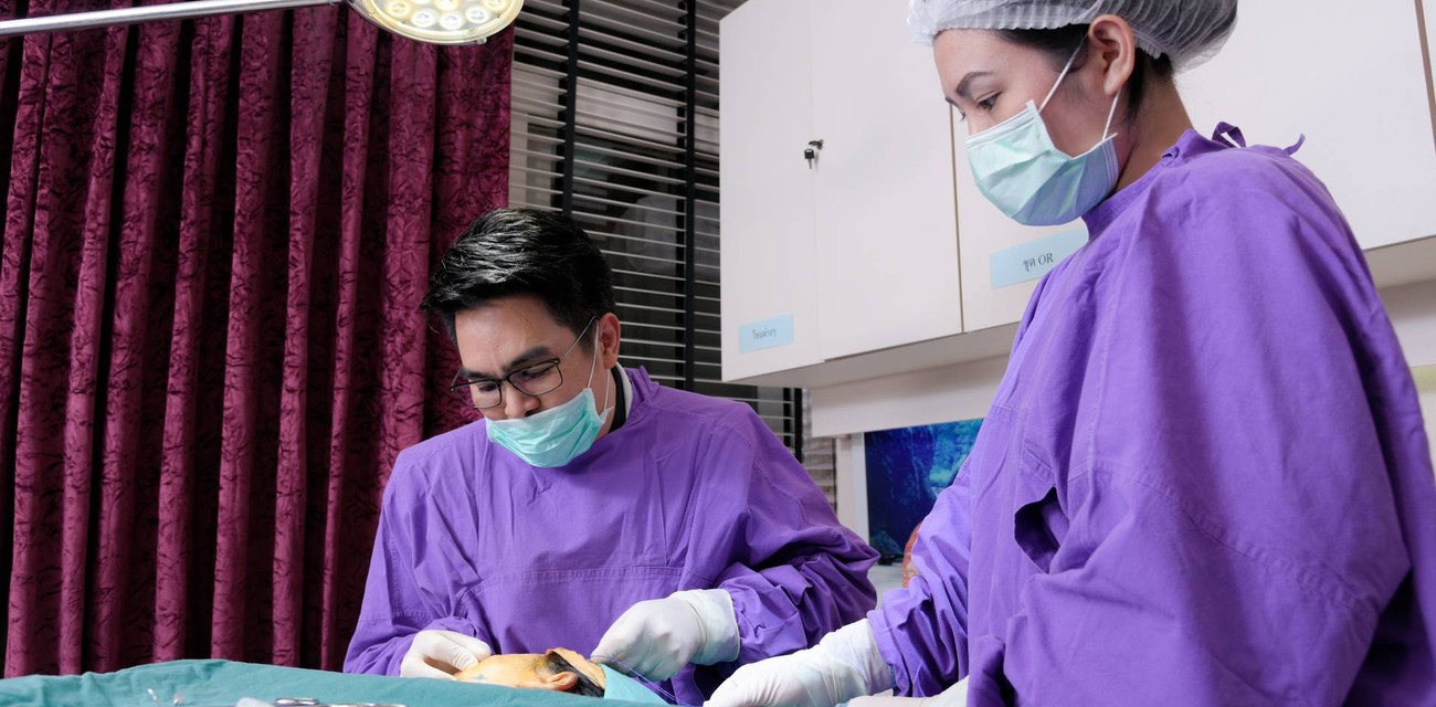 S-Mart Clinic เฟสติวัล วอล์ค S-Mart Clinic เฟสติวัล วอล์ค