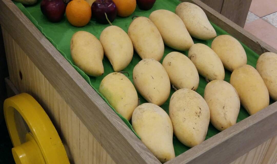 Mango Mania เดอะมอลล์ โคราช Mango Mania เดอะมอลล์ โคราช