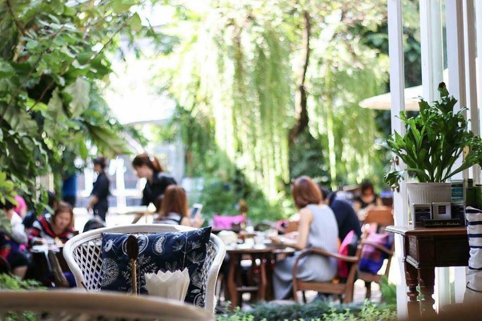 Fern Forest Cafe -