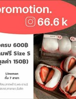 Promotion 66.6K 16-21 มิ.ย.63
โปรแรง ซื้อครบ 600฿ แถมฟรี Size S 1 กลอง มลูค่า 150฿
ปล. ของแถมมีจำนวนจำกัด (รีบ Order กันนะจ๊ะก่อนของแถมหมดจ้าาา)