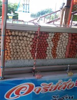 ซื้อ10ไม้  ฟรี  1ไม้