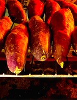 พิเศษ 🍠❤️ซื้อมันหวานญี่ปุ่นเผาพร้อมทาน  1 กก.เพียง 329 บาท