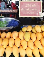 มะม่วงโลละ100