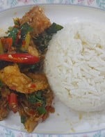 ปาลกะพงษ์ผัดฉ่า เนื้อๆ