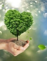 โปรโมชั่น โปรรักษ์โลก ลด 5 บาท ลด 5 บาท เมื่อสั่งเมนู จำนวน 1 ที่