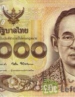 โปรโมชั่น ชำระเงินสด และ โอนเงิน ลด 5 % เมื่อสั่งเมนูในหมวด Serina Recommend, A La carte, กับแกล้ม, onigiri, Yakisoba, Udon, Teppanyaki Ippin, Gyu Tataki, Shabu, Suki Yaki, Chazuke, Salad, Usuiyaki, Okonami Yaki