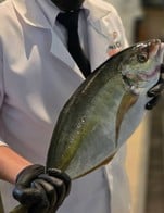 โปรโมชั่น Shima Aji ลด 15 % เมื่อสั่งเมนู Shima Aji ครึ่งตัว