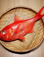 โปรโมชั่น Kinmedai ลด 15 % เมื่อสั่งเมนู Kinmedai สดทั้งตัว