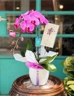 โปรโมชั่น Discount orchid 200฿ ลด 200 บาท เมื่อสั่งเมนู กล้วยไม้ 1690, กล้วยไม้ 1,300, กล้วยไม้ 1100, กล้วยไม้1200, กล้วยไม้ 1500, กล้วนไม้ 1700, กล้วยไม้ 1000, กล้วยไม้, กล้วยไม้1800