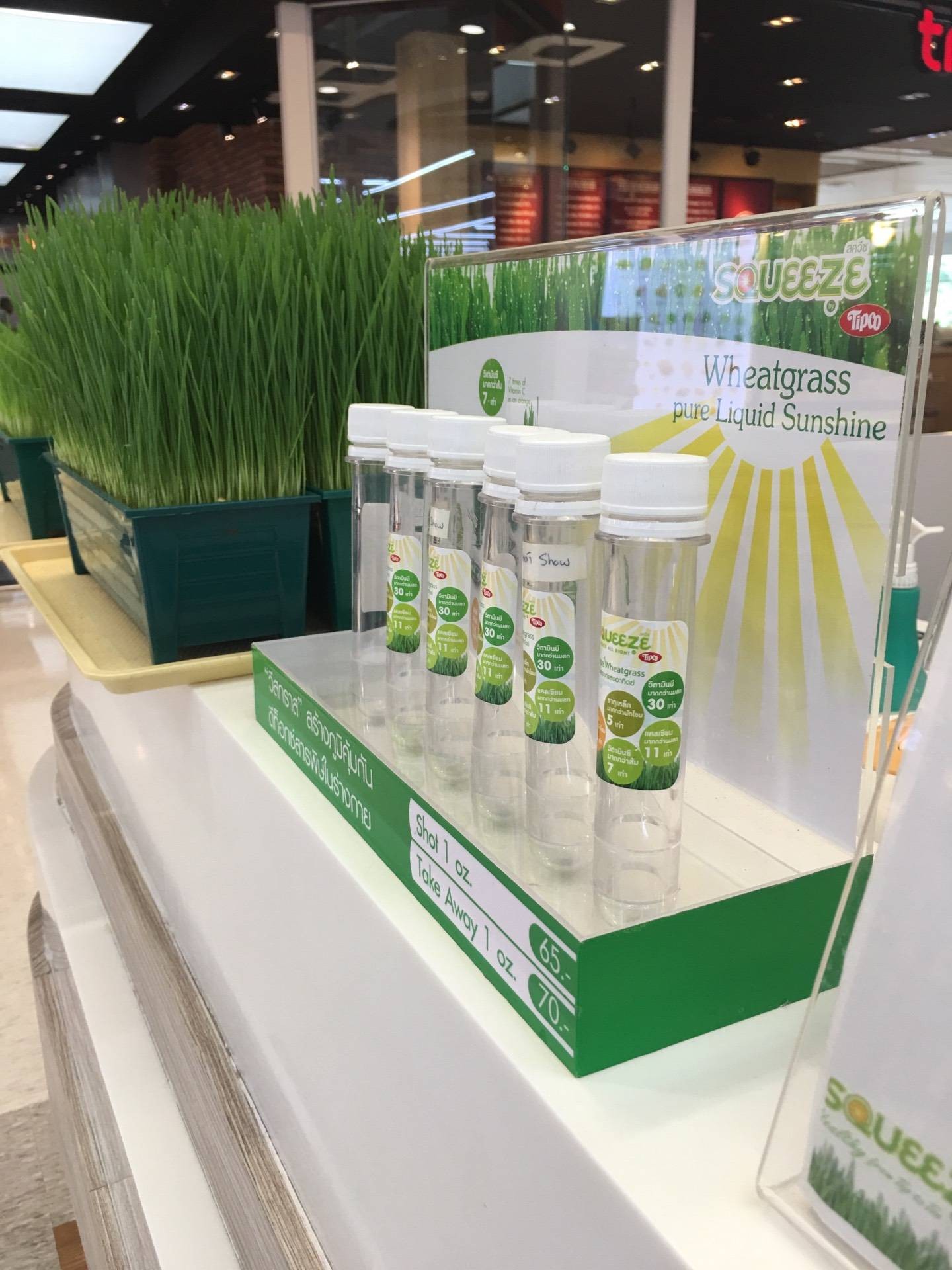 Wheatgrass Juice ร้าน Squeeze By Tipco เทสโก้โลตัส รามอินทรา Wongnai