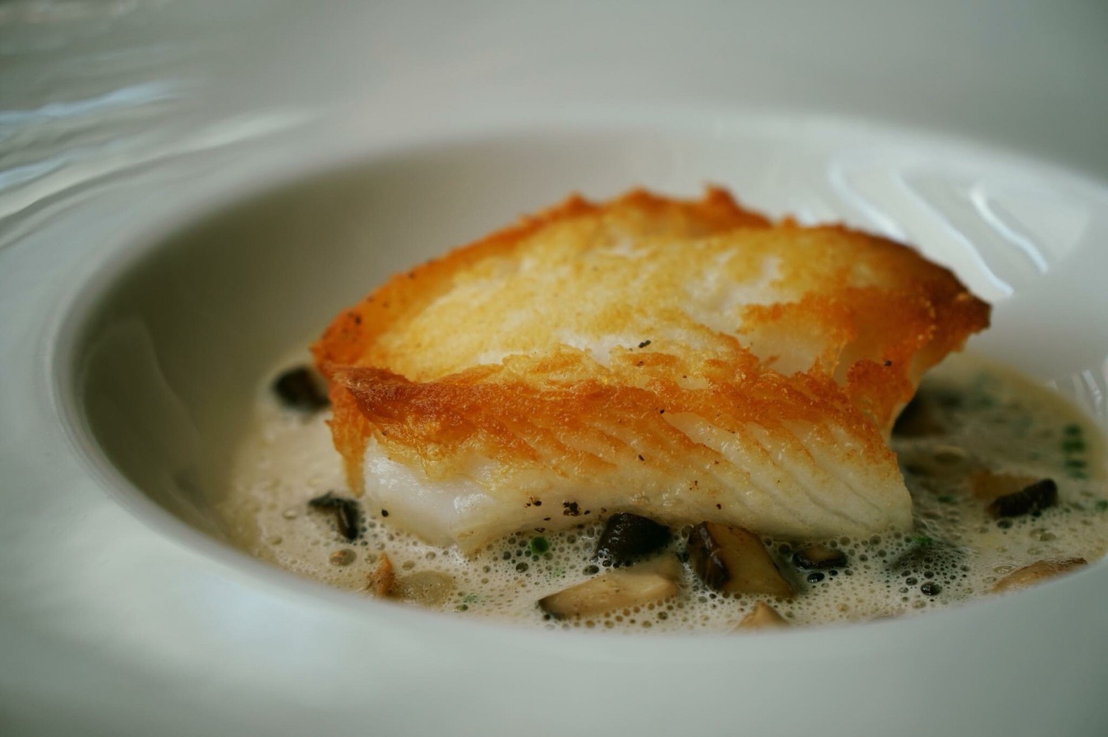 Chilean Sea Bass / ปลากระพงขาวชิลี • mushroom & bacon ragout, yuzu