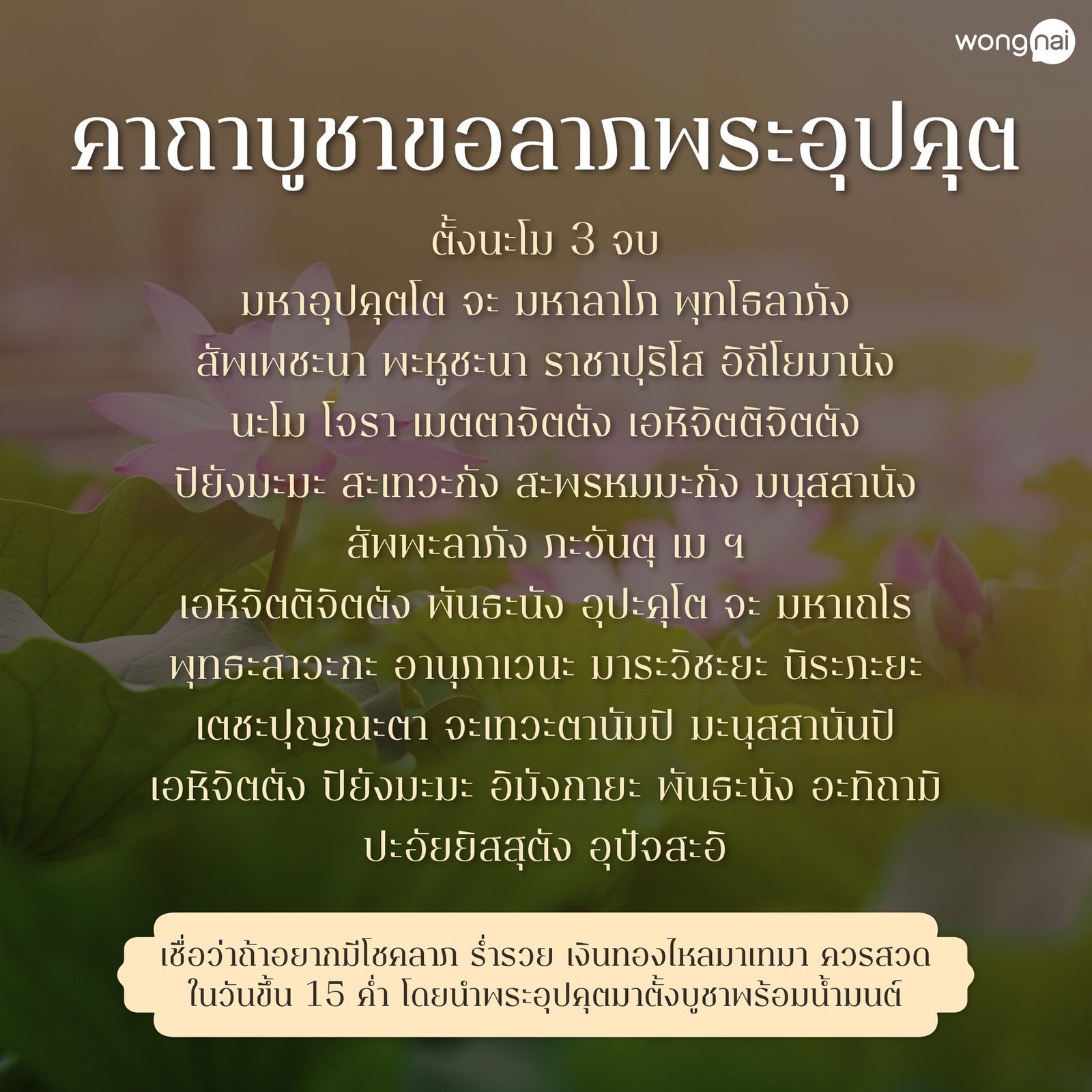 My Image 23