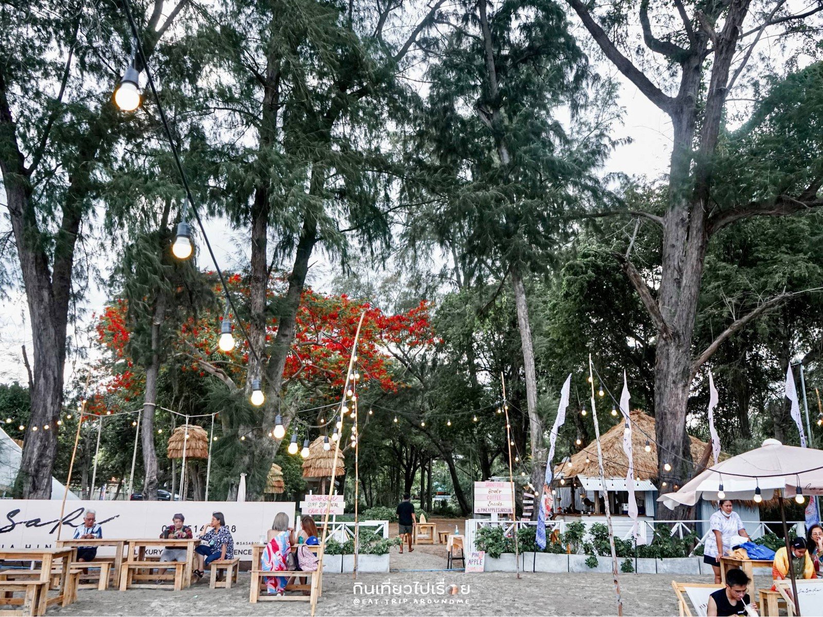 รูป Pineapple Surf Club