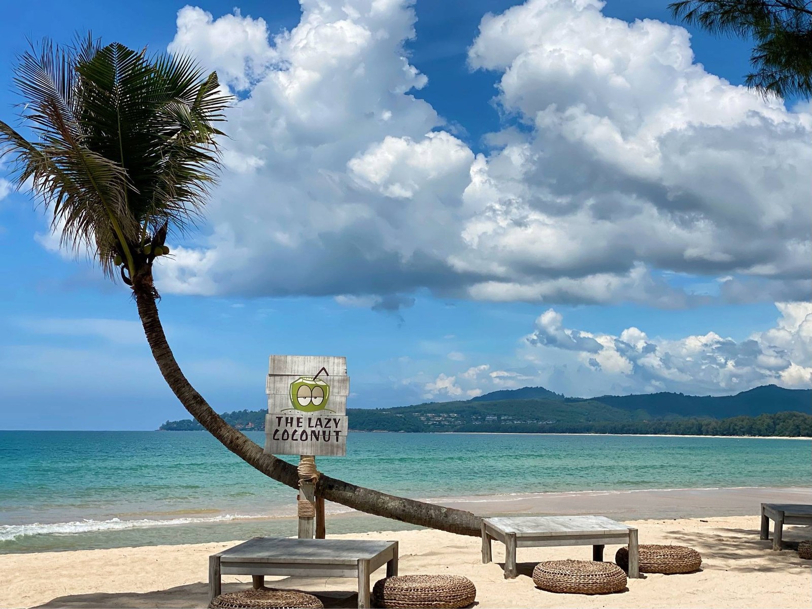 รูป The lazy Coconut Phuket