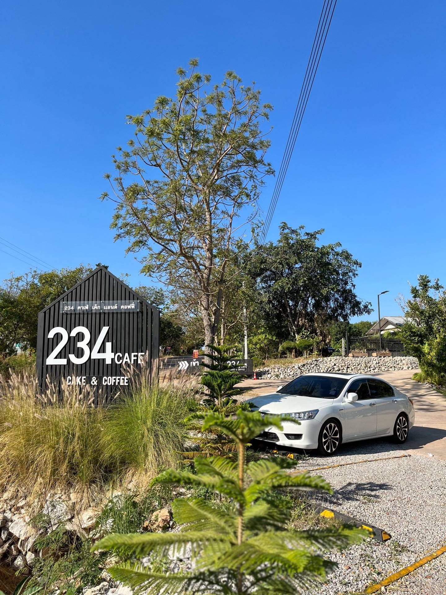 ☕️ 234 Cafe’ Cake & Coffee @แก้งคร้อ ชัยภูมิ ร้าน 234 Cafe' Cake and ...