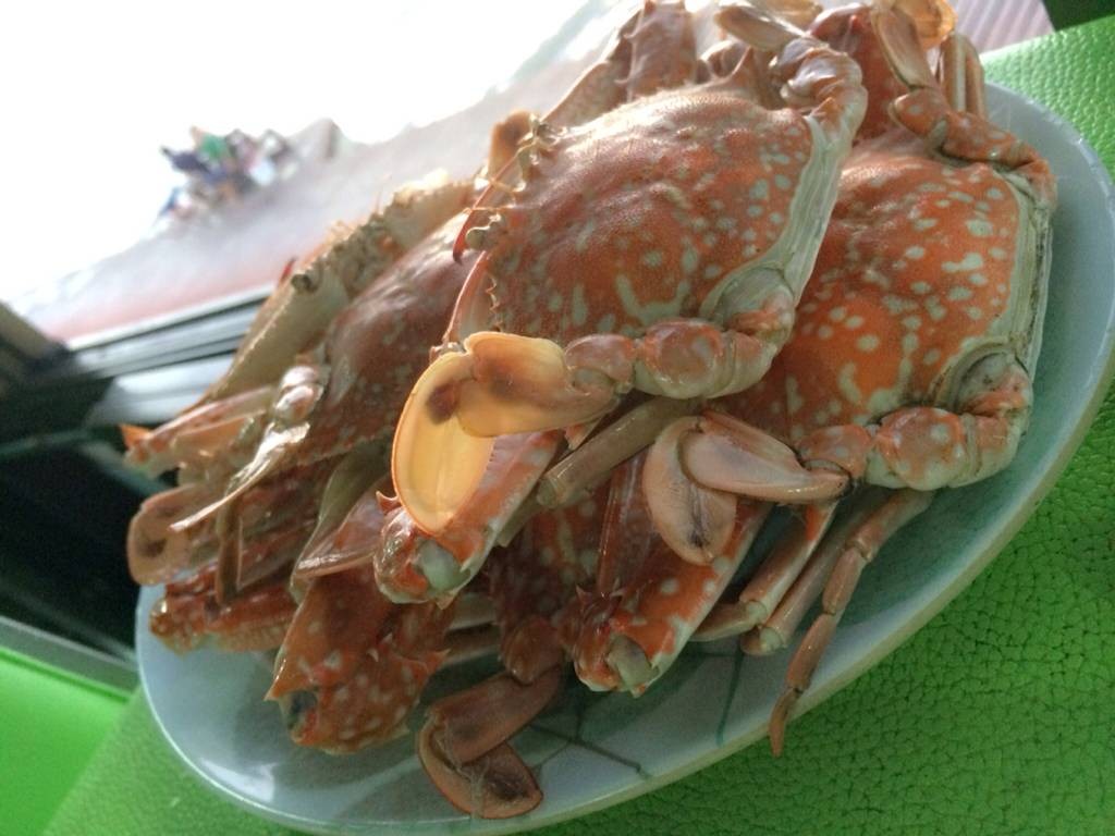 รูป ร้านอาหารเรือสำราญ (บางปู)