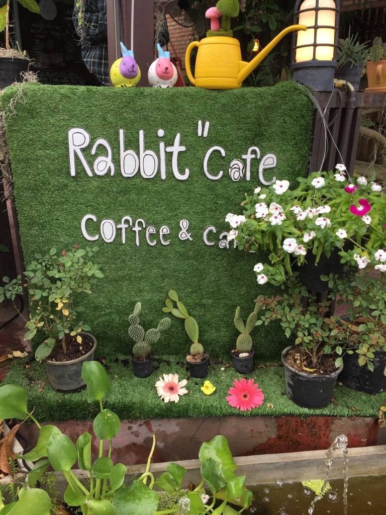 รีวิว Rabbit "Cafe Rabbit กระต่าย Wongnai