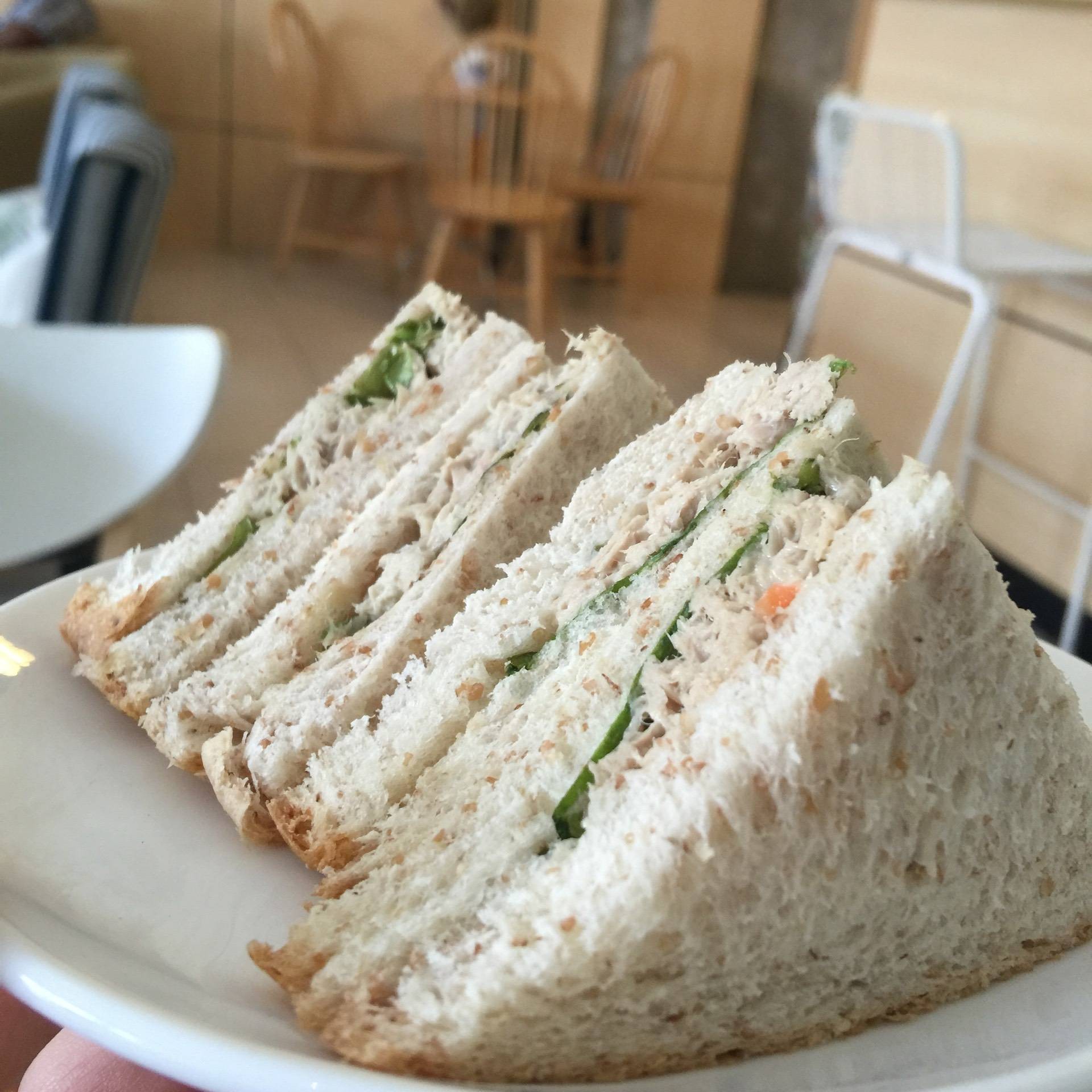 รวมกัน 94+ ภาพพื้นหลัง แซนวิชทูน่าแซลมอน สวยมาก