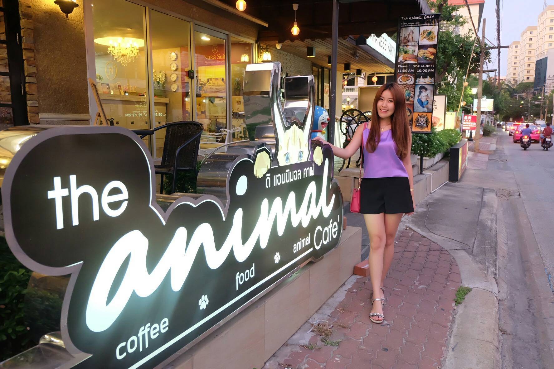 รีวิว The animal Cafe - The Animal Cafe ซ.สาธุประดิษฐ์ 19 ใกล้บ้าน