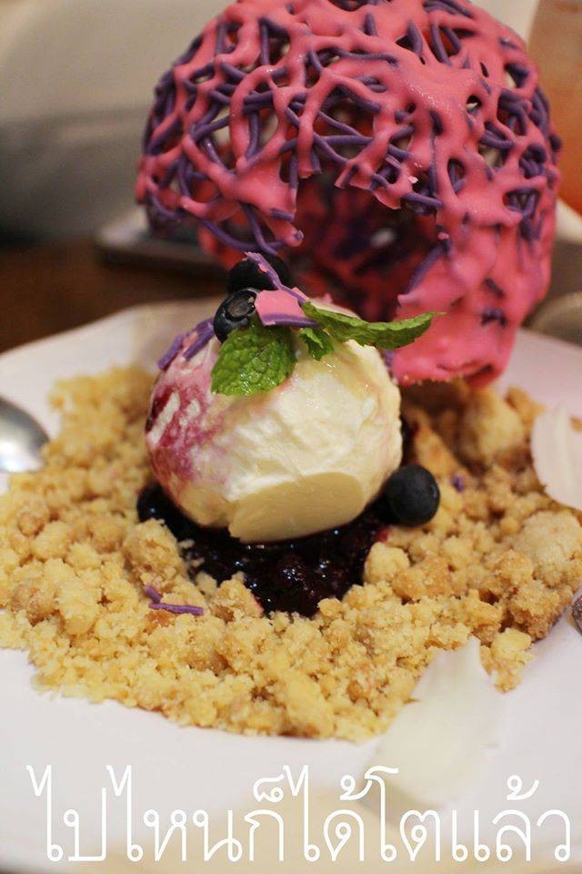 รีวิว Perhaps Rabbits'