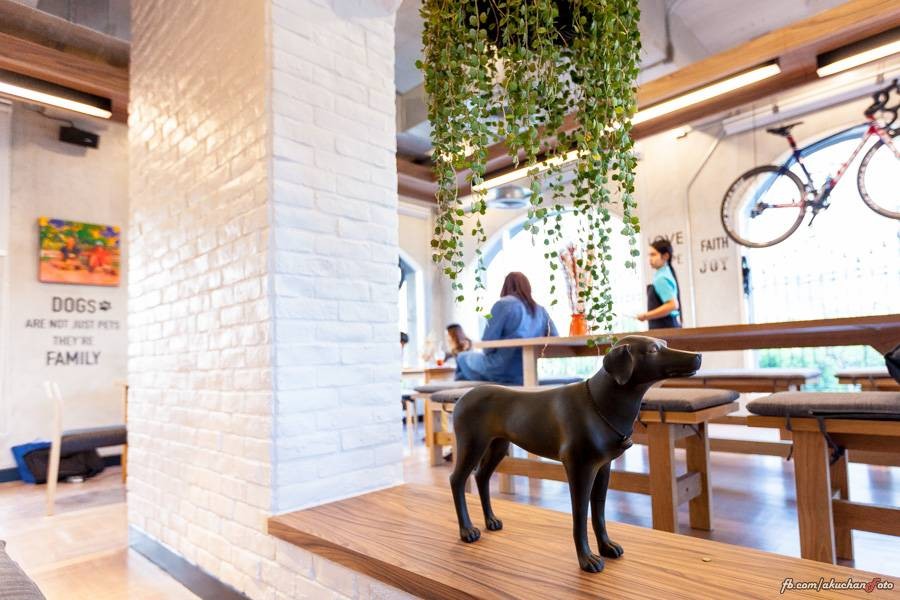 รูป Mint Cafe by Peppermintfield ซ.โยธินพัฒนา 3 เลียบด่วนเอกมัยรามอินทรา