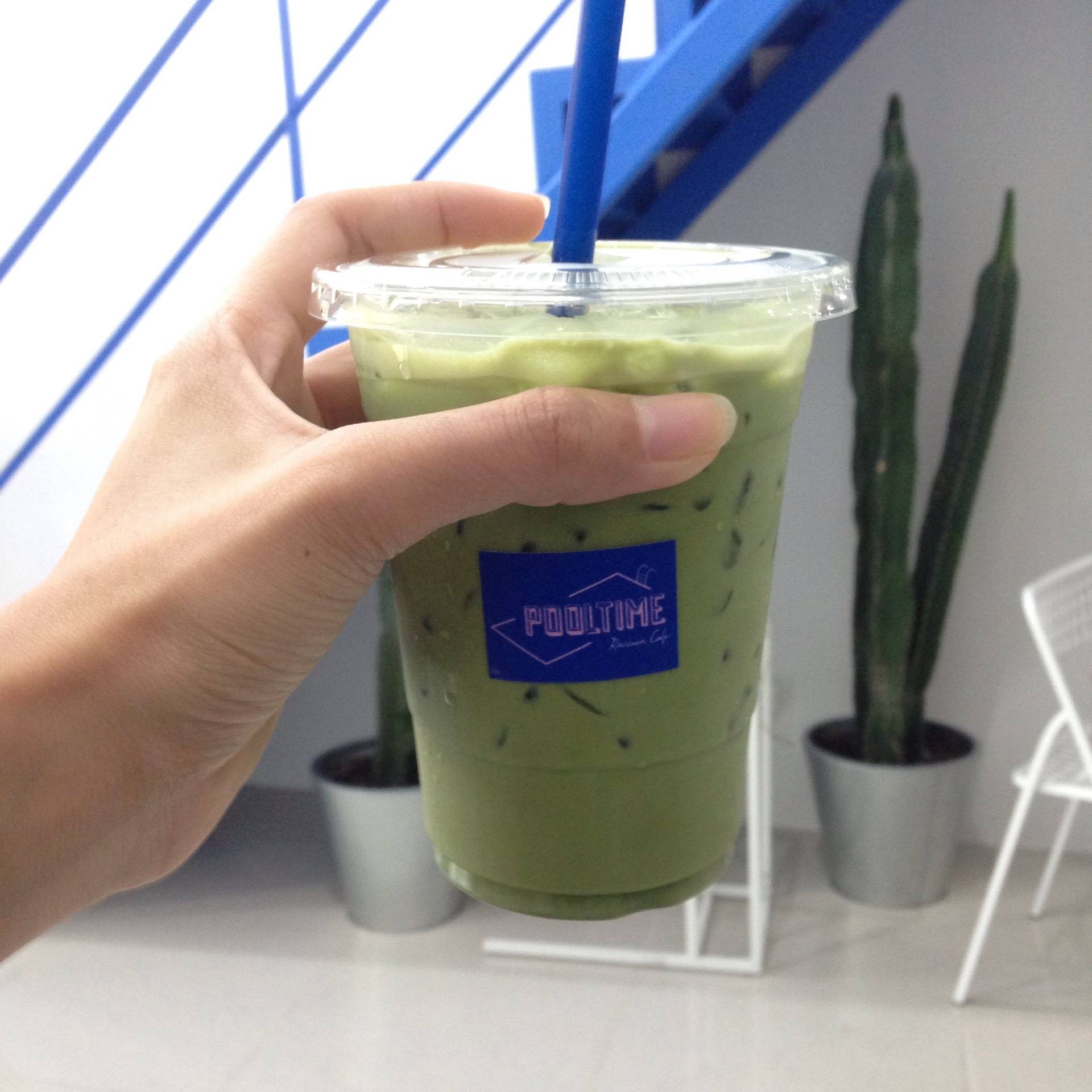 รีวิว POOLTIME CAFE เอกมัย ร้านกาแฟที่มีแรคคูน! Wongnai