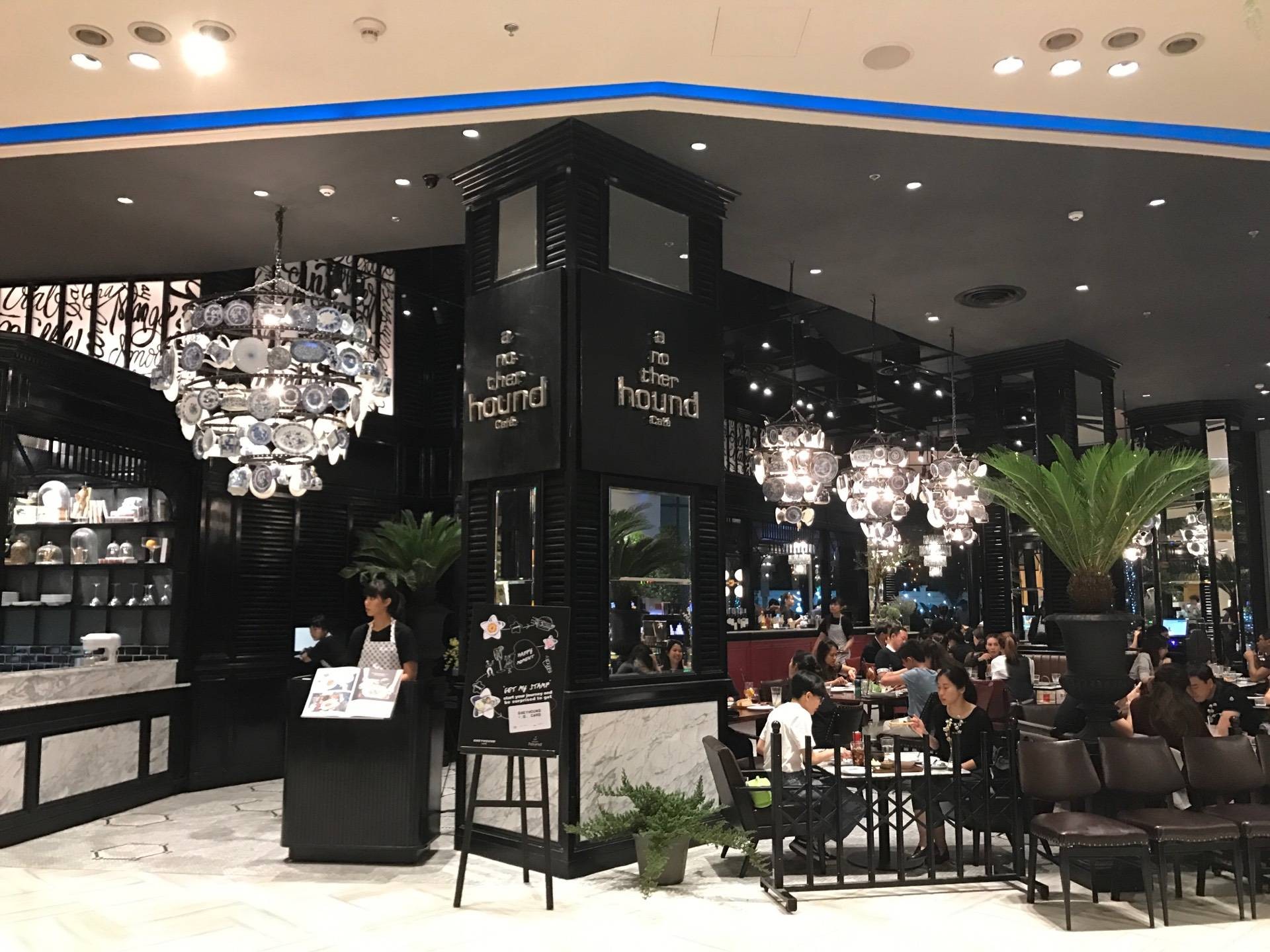 รวมร้านสาขาของ Another Hound Café (อนาเธอร์ฮาวด์ คาเฟ่) อาหารนานาชาติ