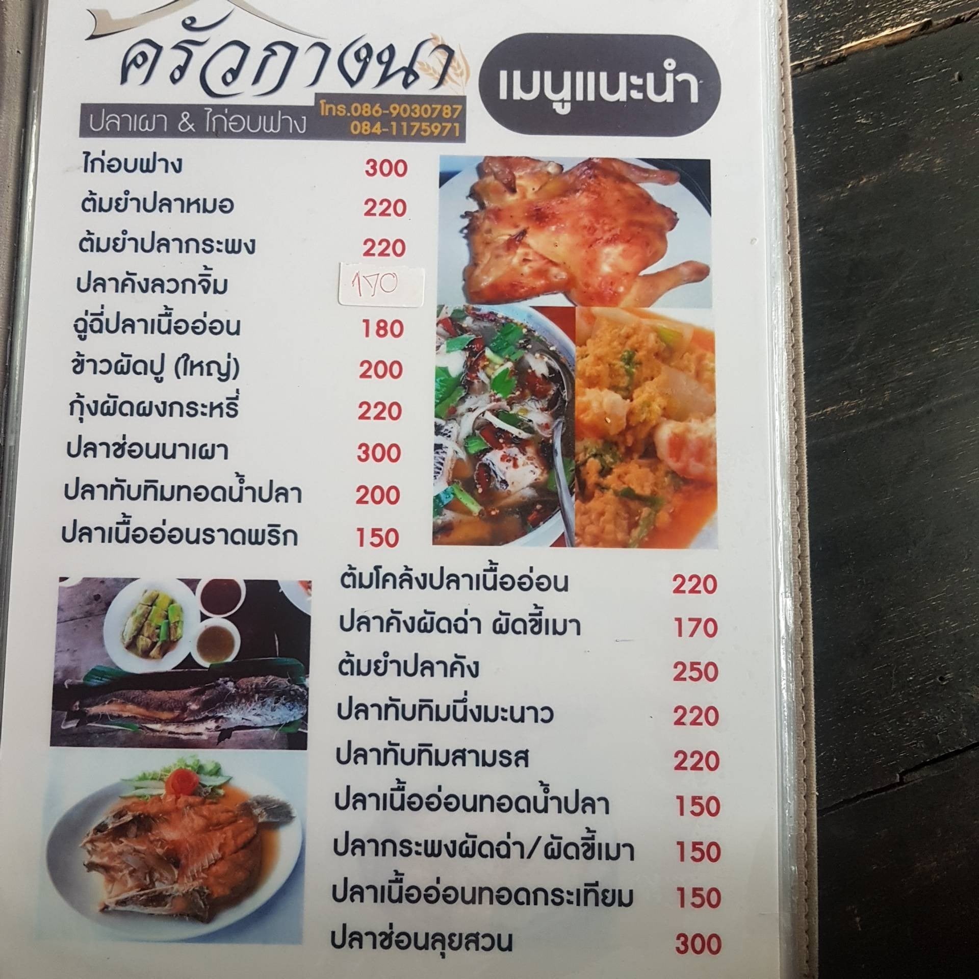 My Image 29