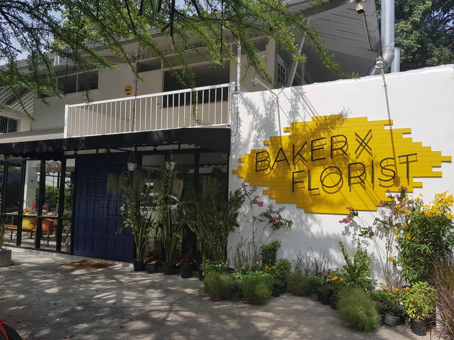 รีวิว BAKER X FLORIST พระราม 9 ซอย 41 Wongnai Sneak Peak Baker x