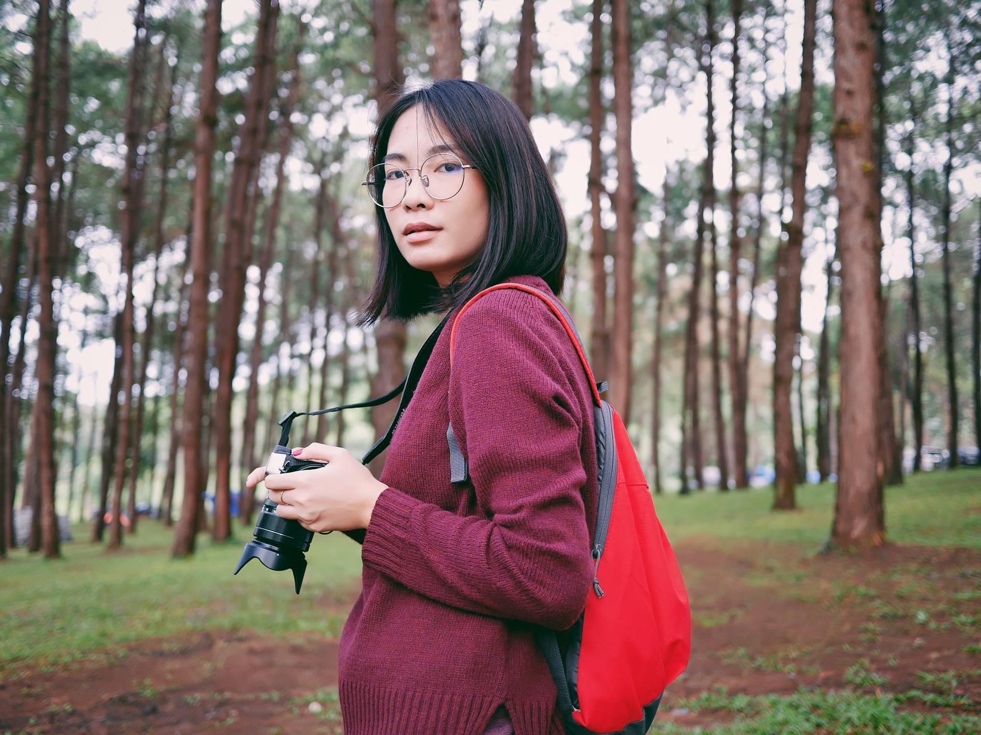 writerProfile