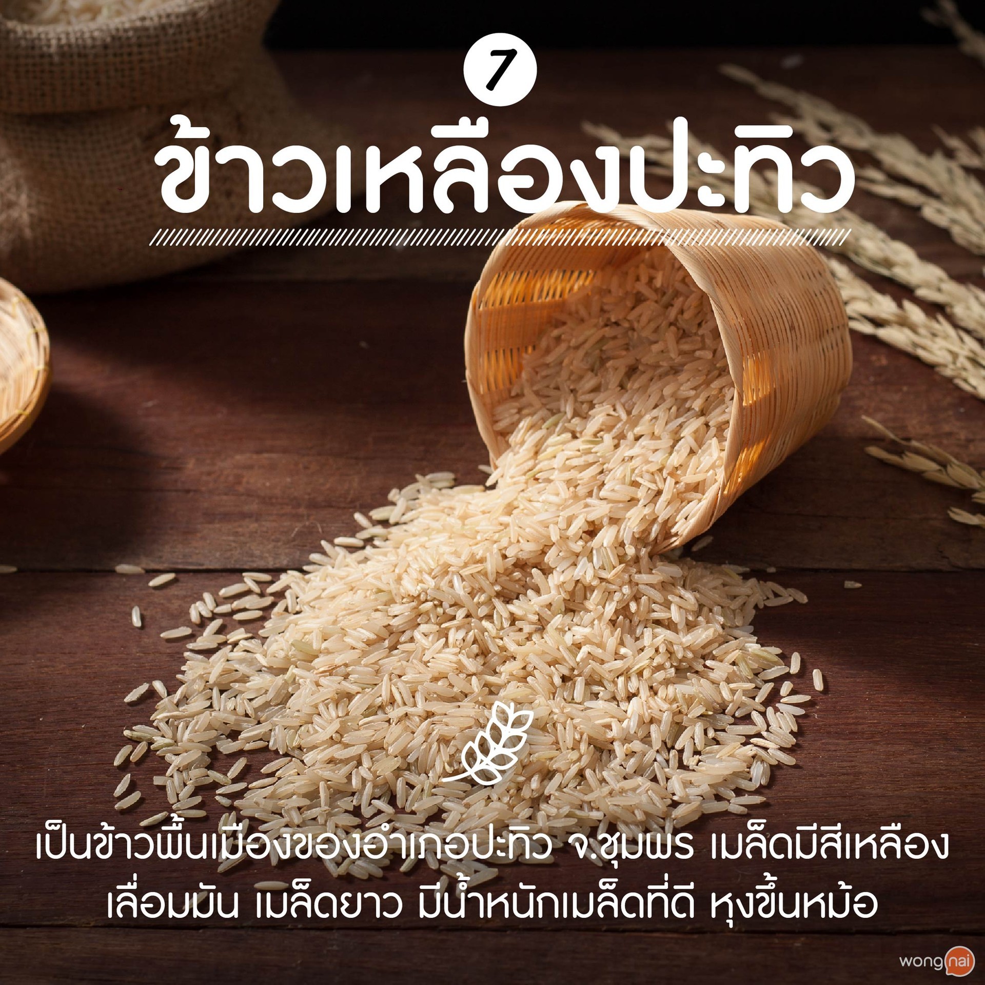 à¸‚à¹‰à¸²à¸§à¹€à¸«à¸¥à¸·à¸­à¸‡à¸›à¸£à¸°à¸—à¸´à¸§à¸Šà¸¸à¸¡à¸žà¸£