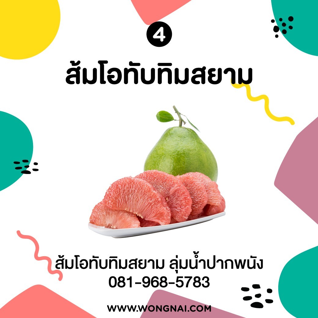 ส้มโอทับทิมสนาม ของฝาก นครศรีธรรมราช