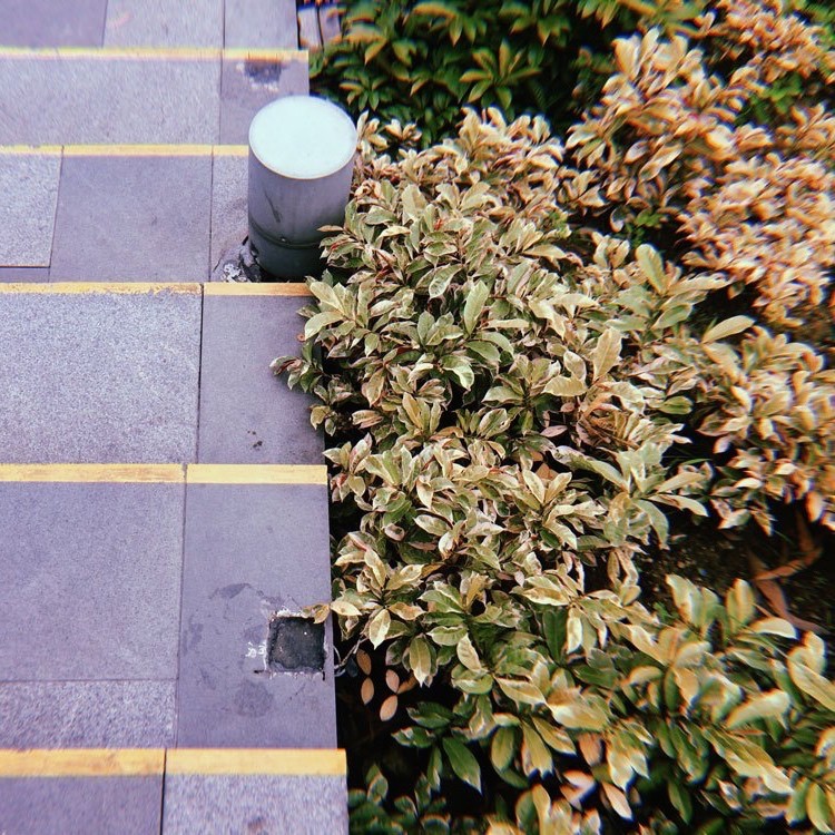 แอพแต่งรูปฟรี,รวมแอพแต่งรูป
