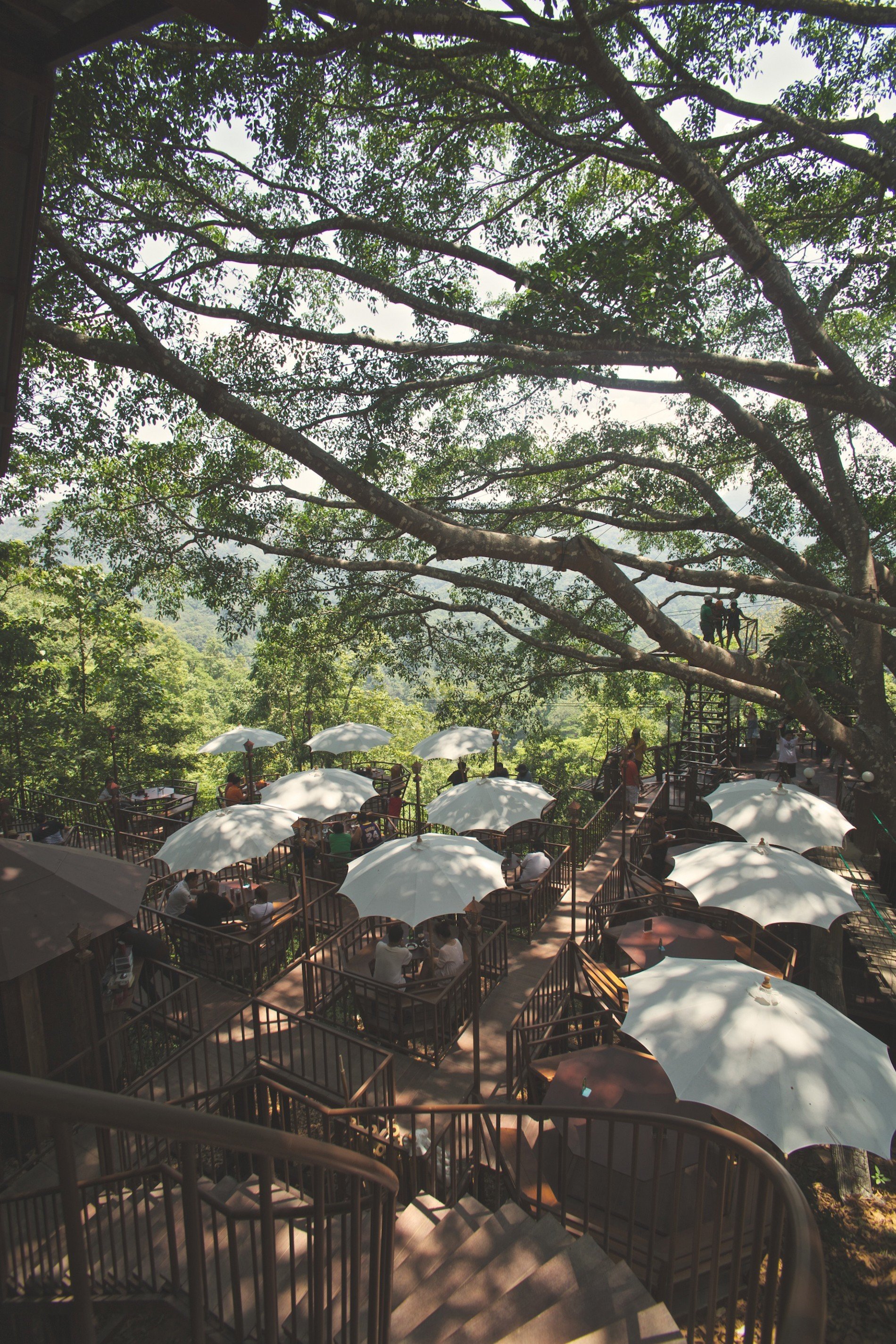 บรรยากาศ The Giant Chiangmai ร้านกาแฟบนต้นไม้ ที่เที่ยวใกล้หมู่บ้านแม่กำปอง