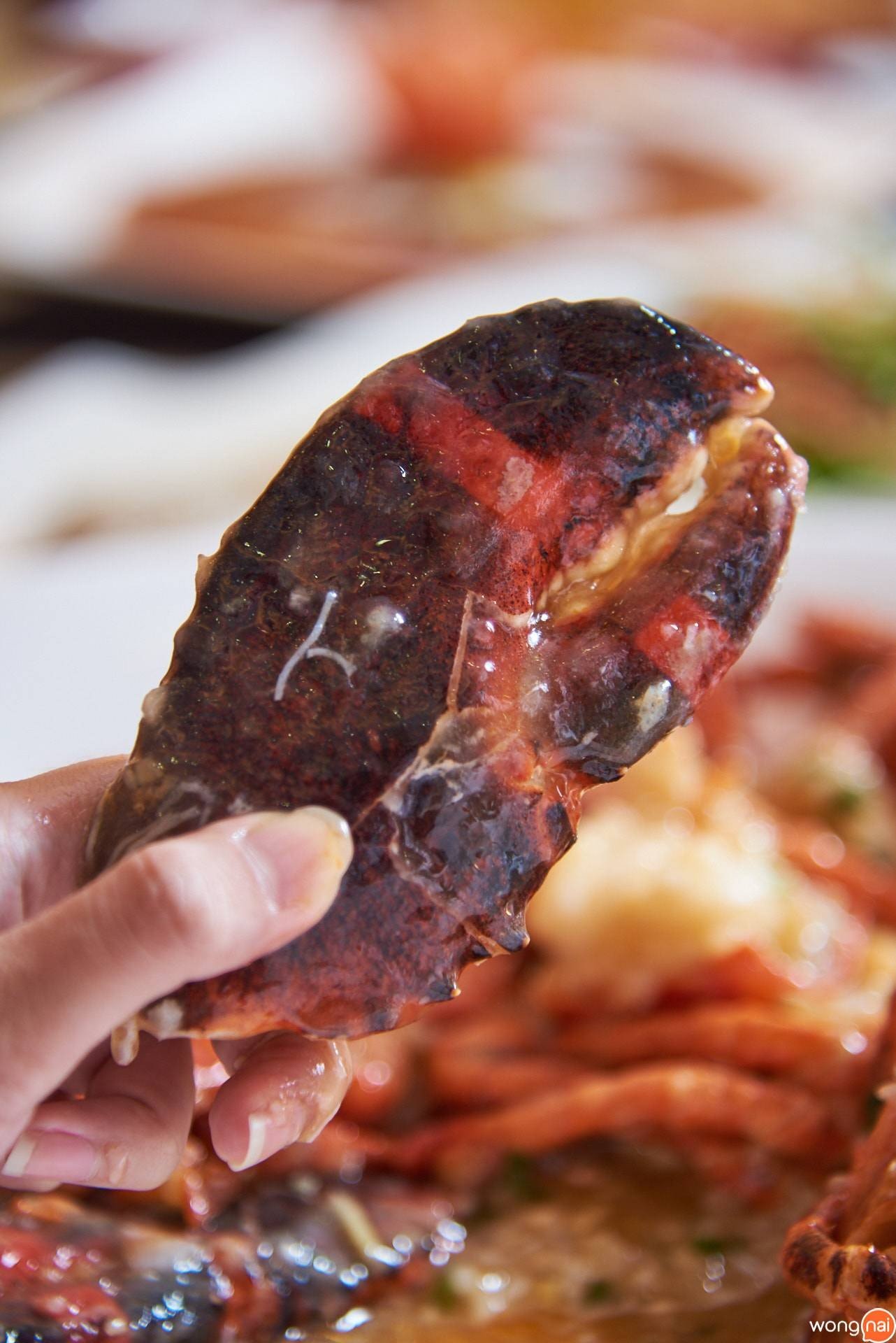 “กุ้งมังกรบอสตันอบยอดซุป” ของร้าน Ho Kitchen Seafood